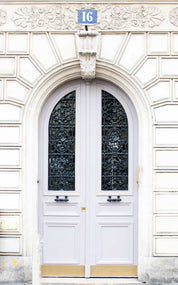 Marseilles Double Iron Doors - Custom Iron Door Pros